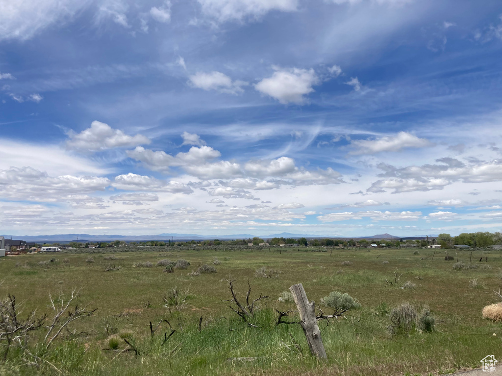 View of local wilderness with a rural view