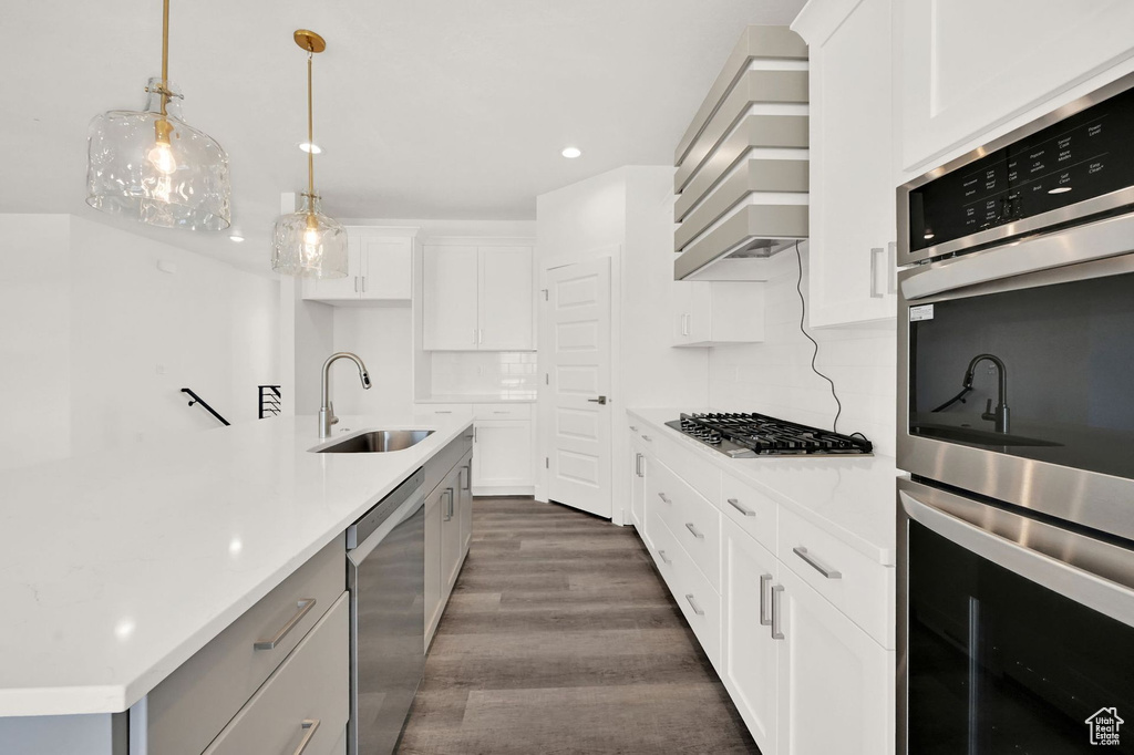 Kitchen with sink, dark hardwood / wood-style flooring, tasteful backsplash, premium range hood, and stainless steel appliances