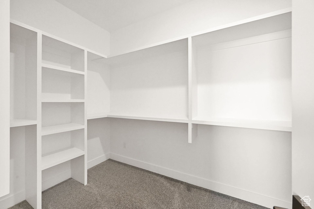 Spacious closet featuring carpet