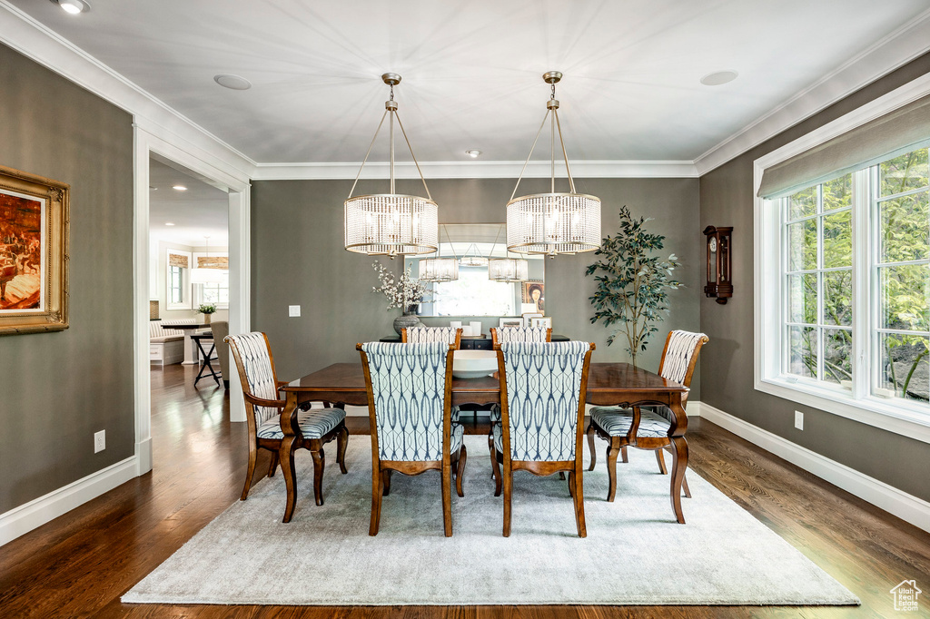 Dining room featuring a chandelier, crown molding, and dark wood-type flooring