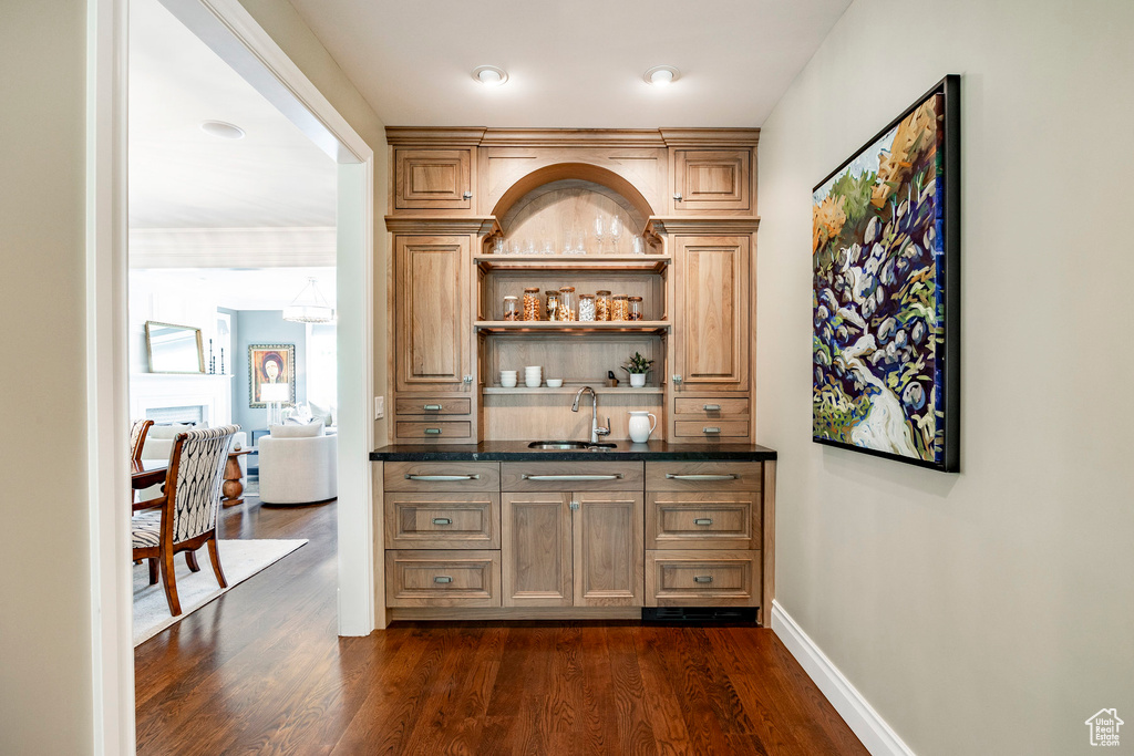 Bar with dark hardwood / wood-style floors and sink