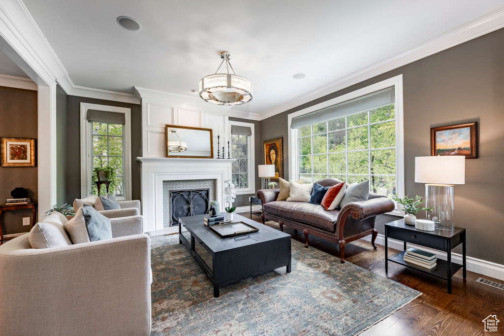 Living room with crown molding and dark hardwood / wood-style flooring