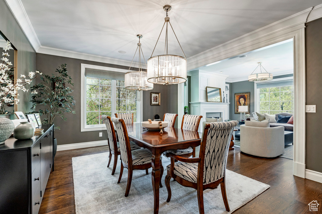 Dining area featuring a healthy amount of sunlight, dark wood-type flooring, an inviting chandelier, and ornamental molding