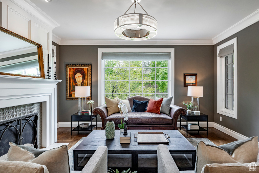 Living room with crown molding and dark hardwood / wood-style floors