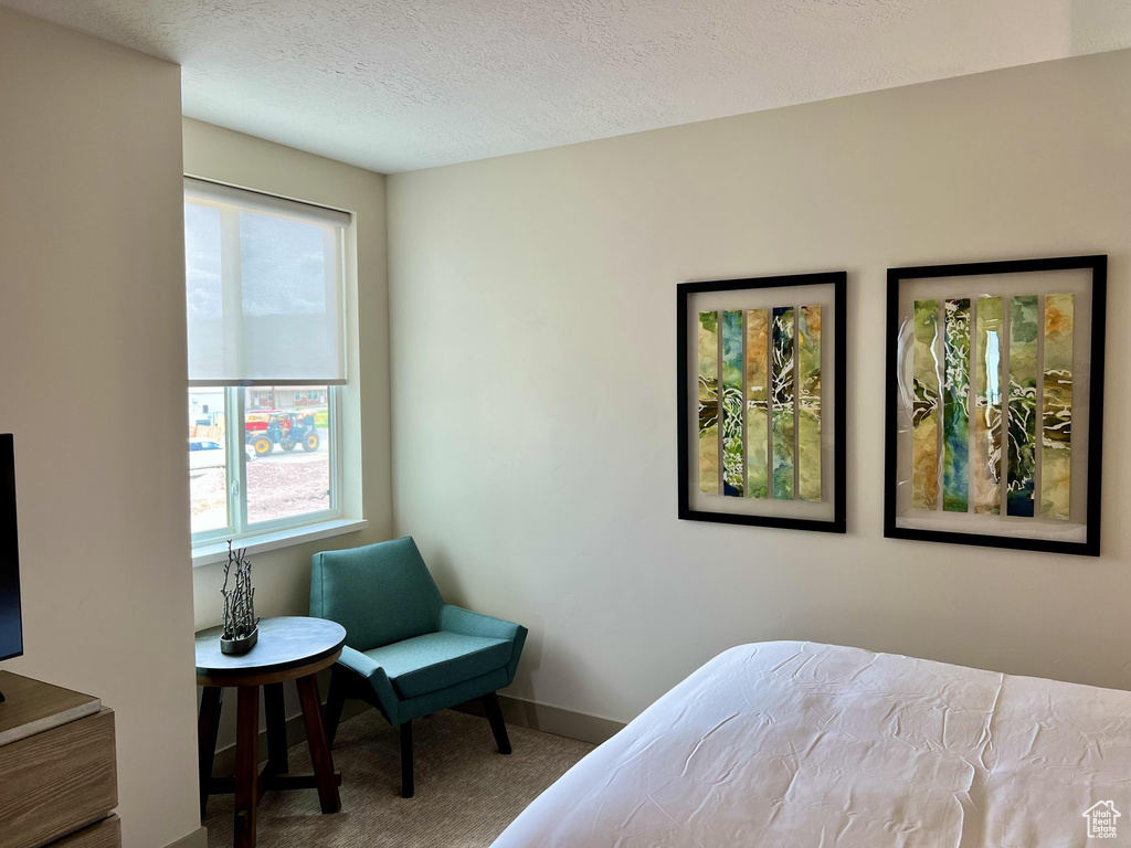 Bedroom featuring a textured ceiling and carpet