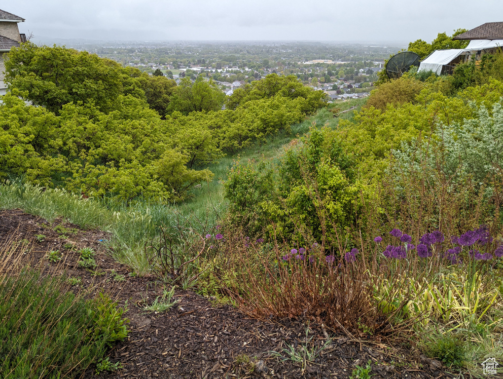 View of nature