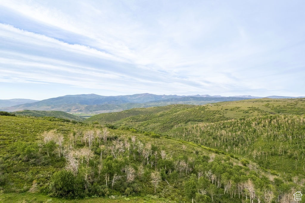 View of mountain feature