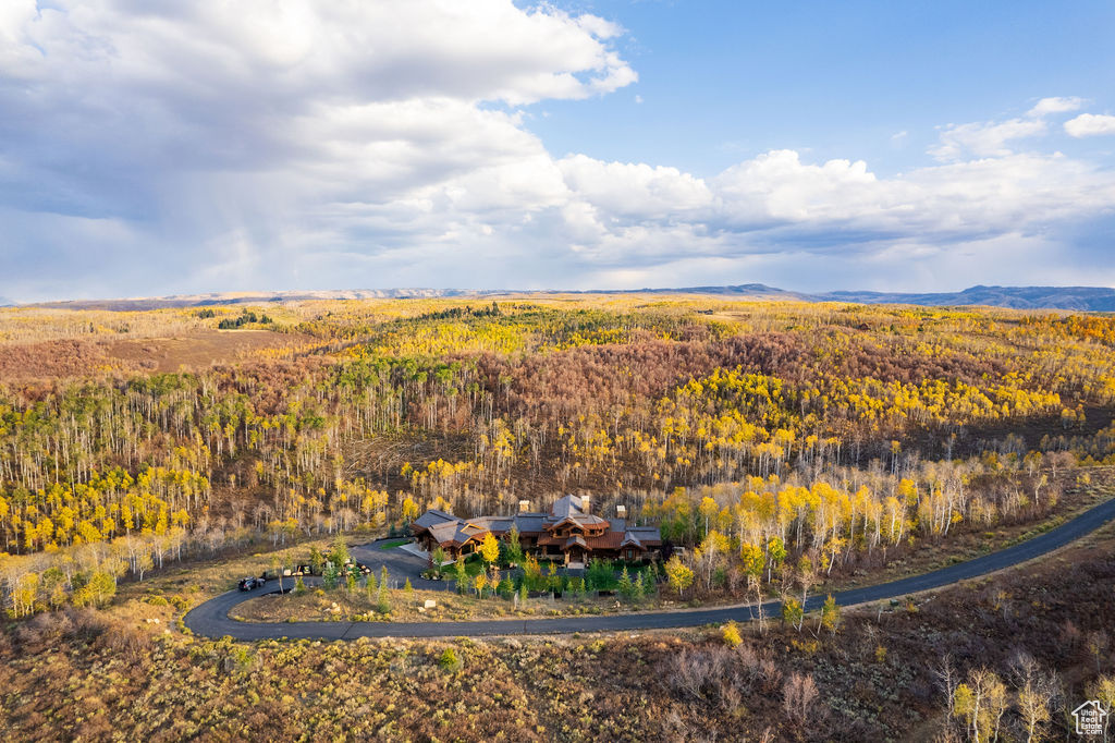 Bird's eye view featuring a mountain view