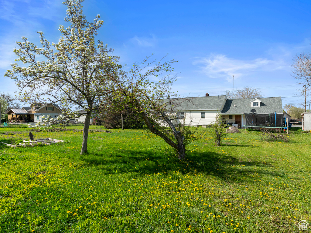 View of yard with a trampoline