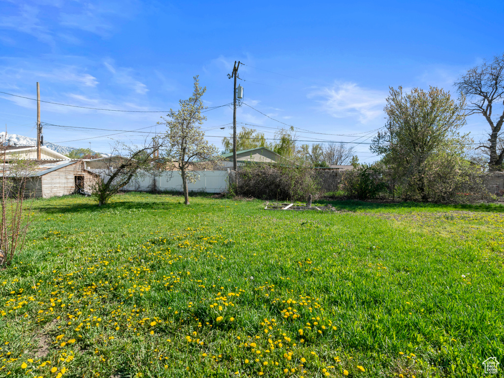 View of yard