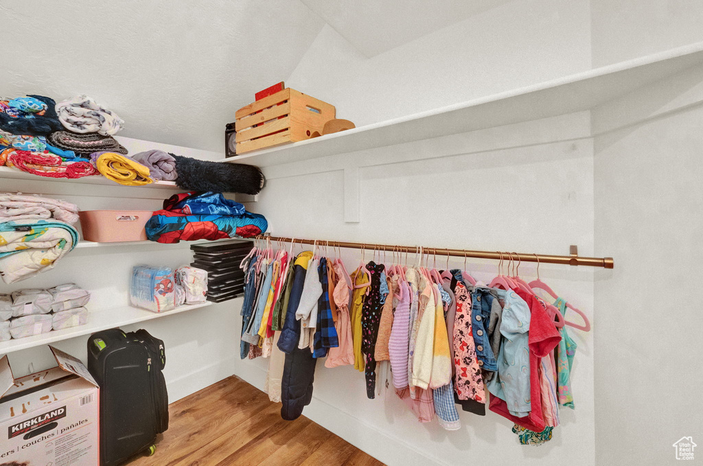 Spacious closet featuring wood-type flooring