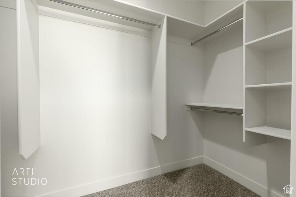 Walk in closet with carpet floors