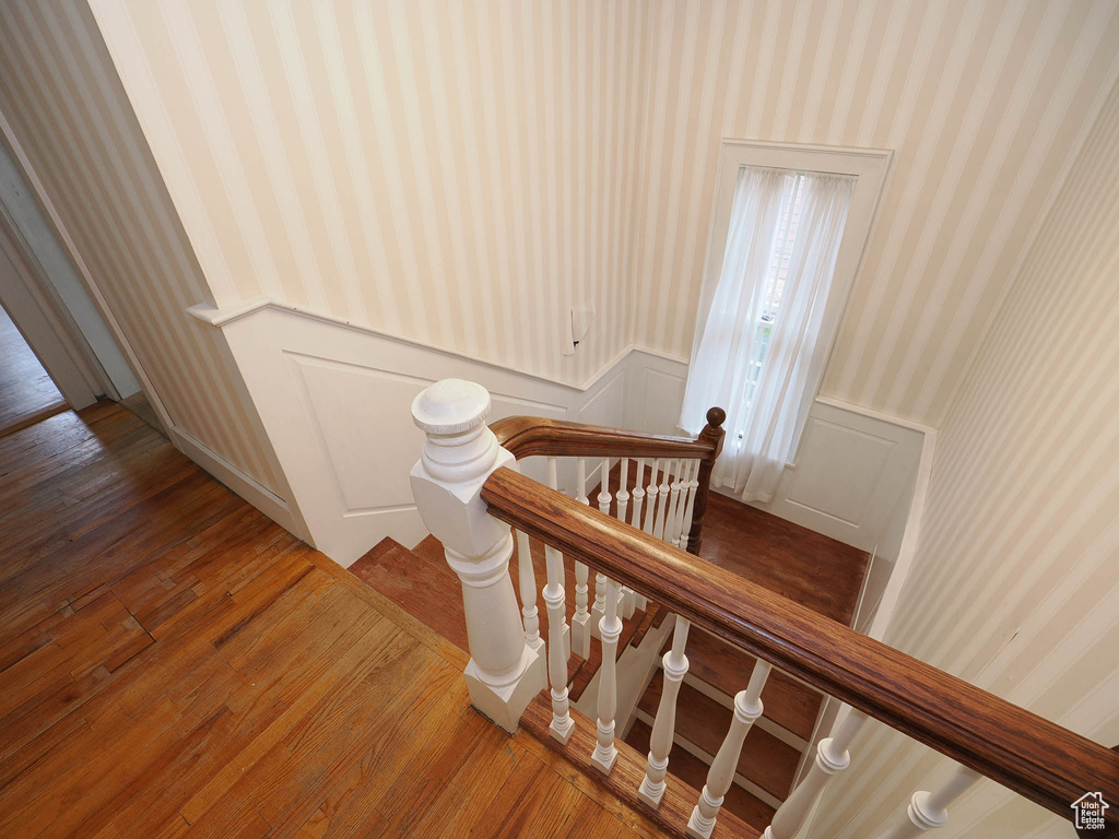 Staircase with dark hardwood / wood-style flooring