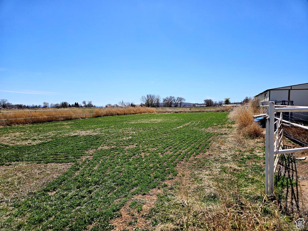 View of yard featuring a rural view