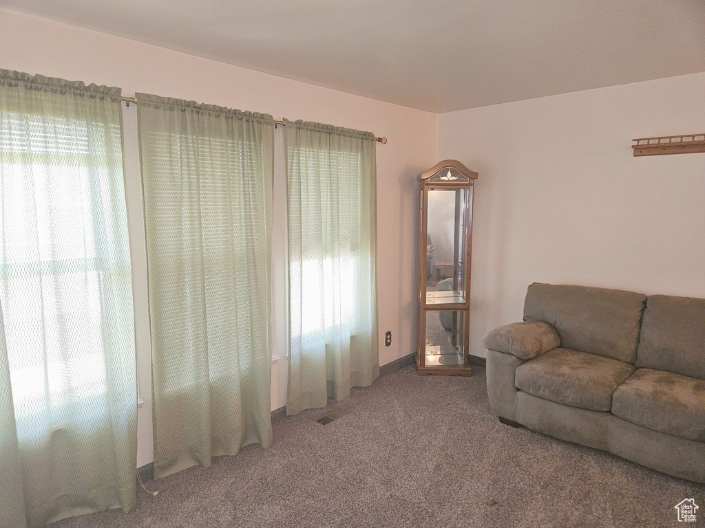 Living room with carpet flooring