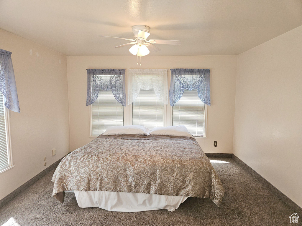 Carpeted bedroom with ceiling fan and multiple windows