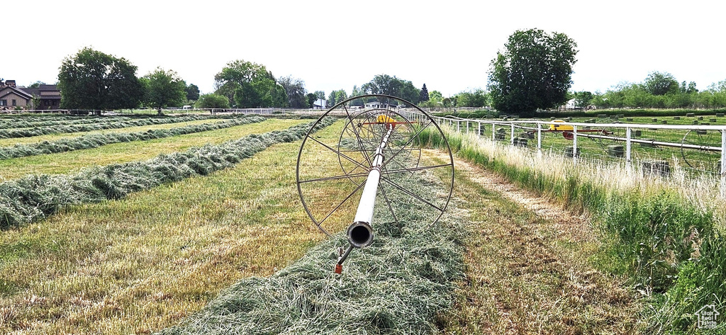 View of yard with a view of rural / pastoral area