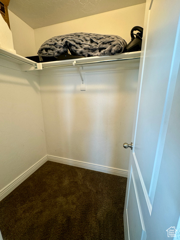 Walk in closet featuring carpet flooring