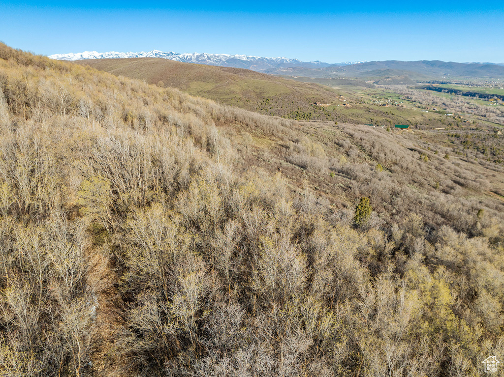 Drone / aerial view with a mountain view