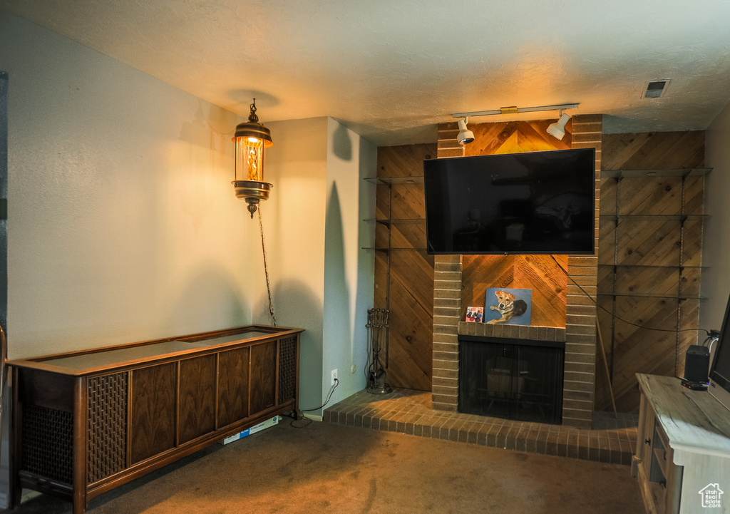 Carpeted living room with rail lighting, a fireplace, and wood walls