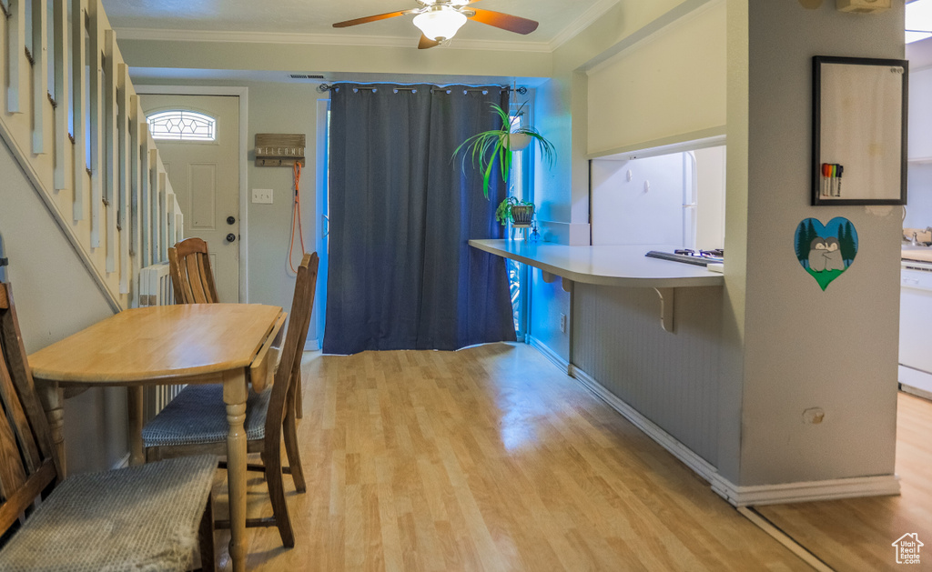 Dining space featuring ceiling fan, crown molding, and light wood-type flooring