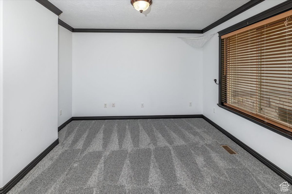 Empty room featuring a textured ceiling, crown molding, and dark carpet