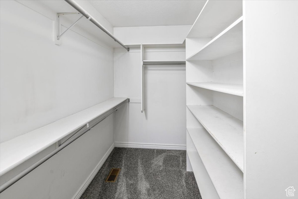 Walk in closet featuring carpet flooring