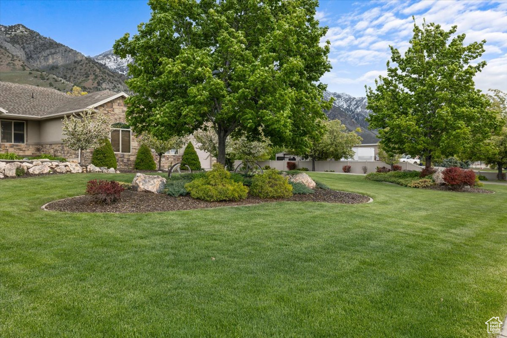 View of yard with a mountain view