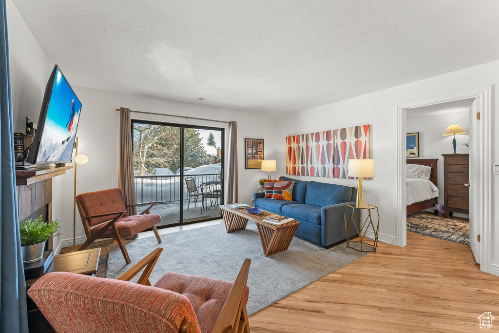 Living room featuring light hardwood / wood-style floors