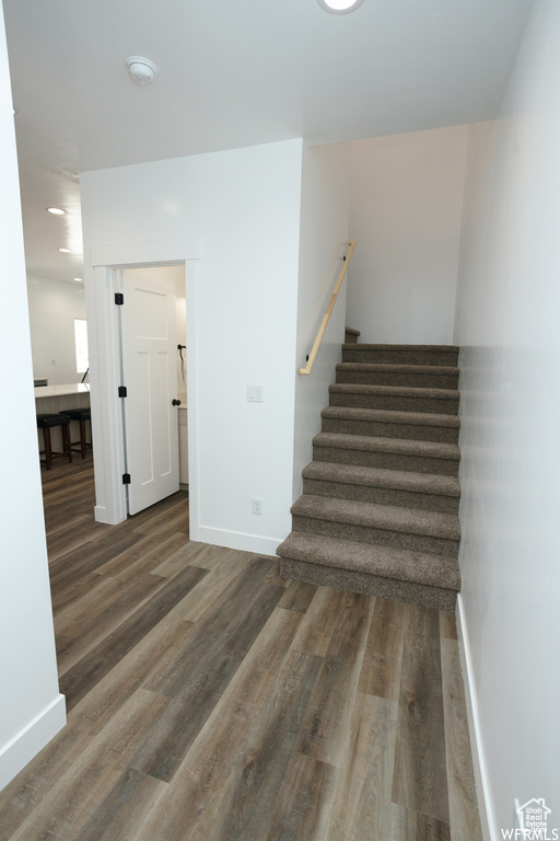 Stairway with dark hardwood / wood-style floors