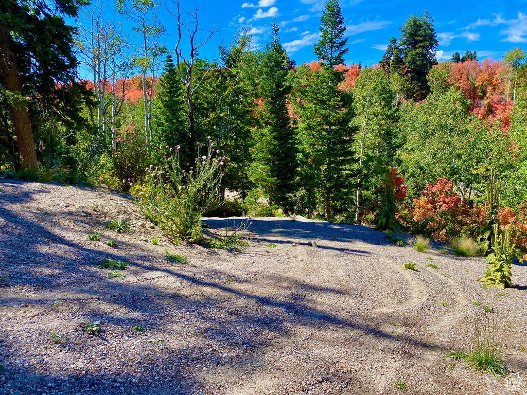 View of road