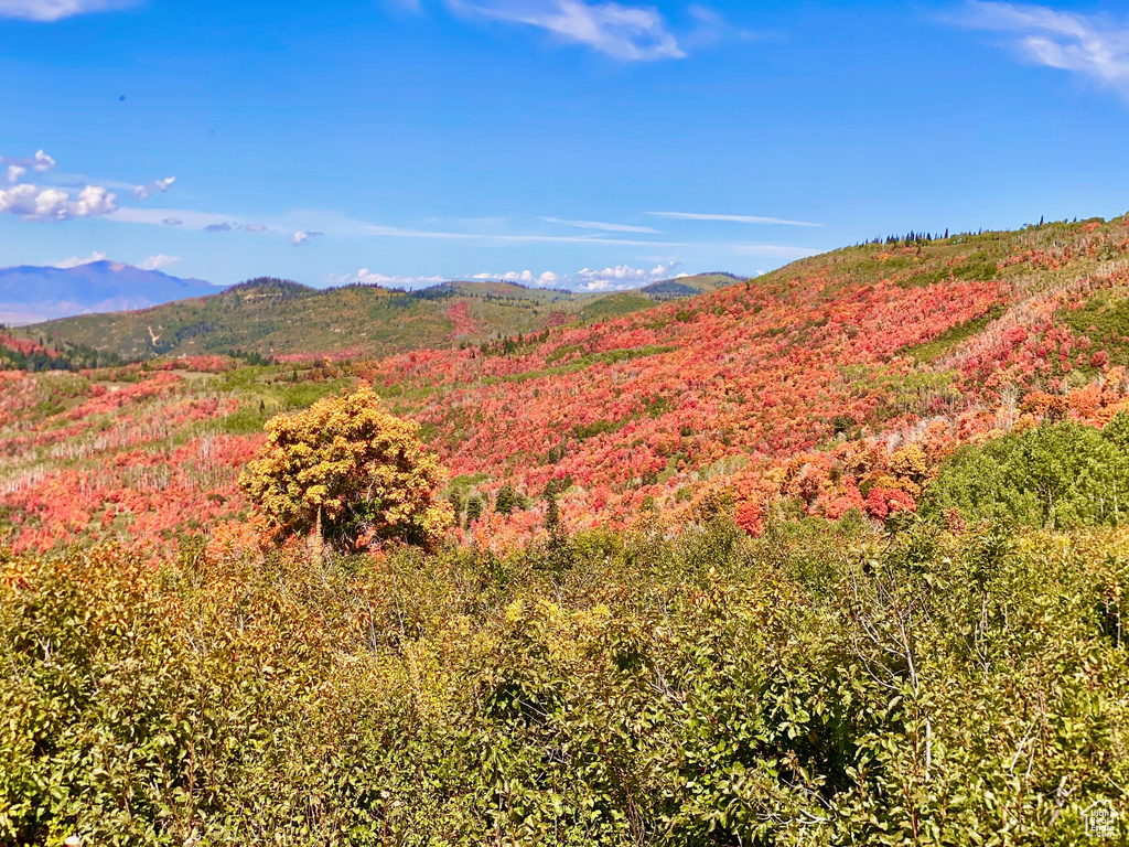 View of mountain feature