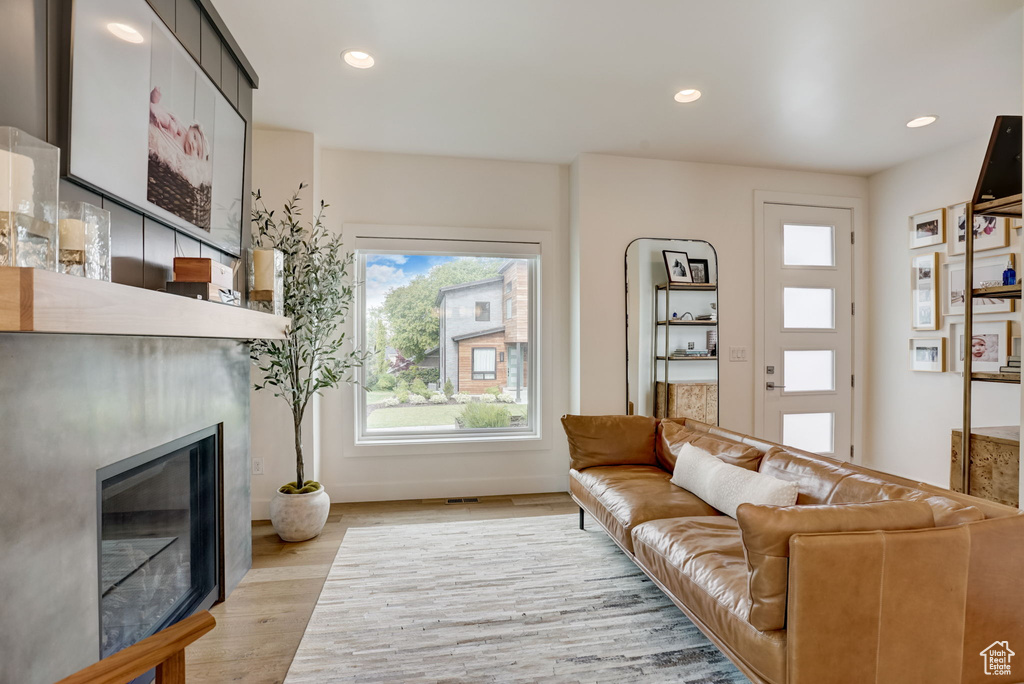 Living room featuring light hardwood / wood-style flooring