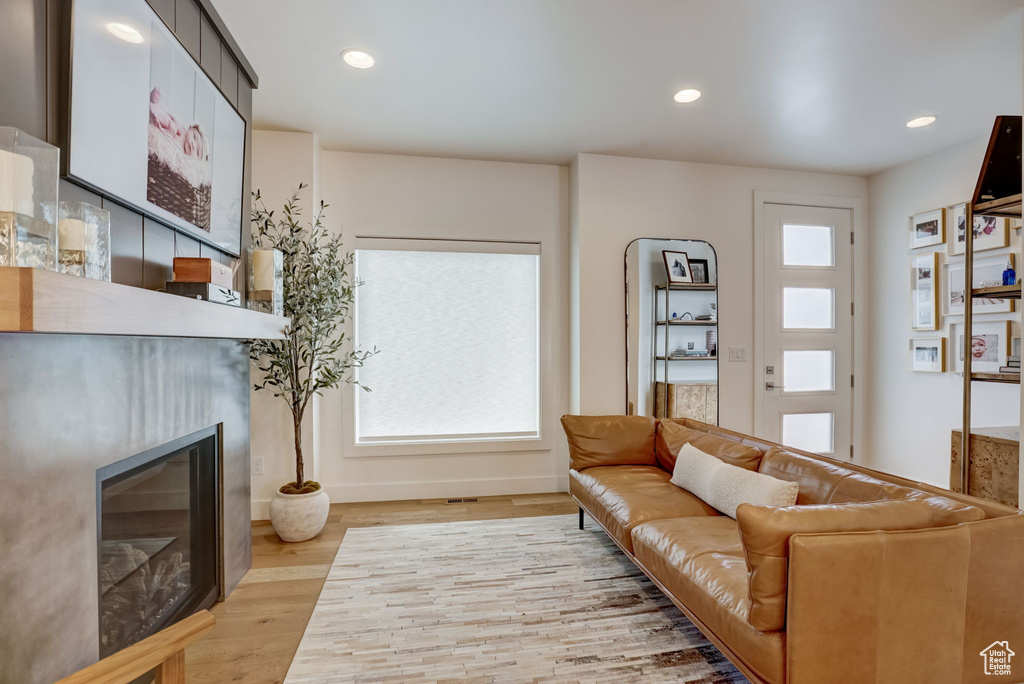 Living room featuring light hardwood / wood-style flooring