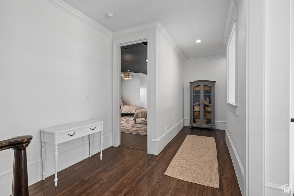 Hallway featuring crown molding and dark hardwood / wood-style floors