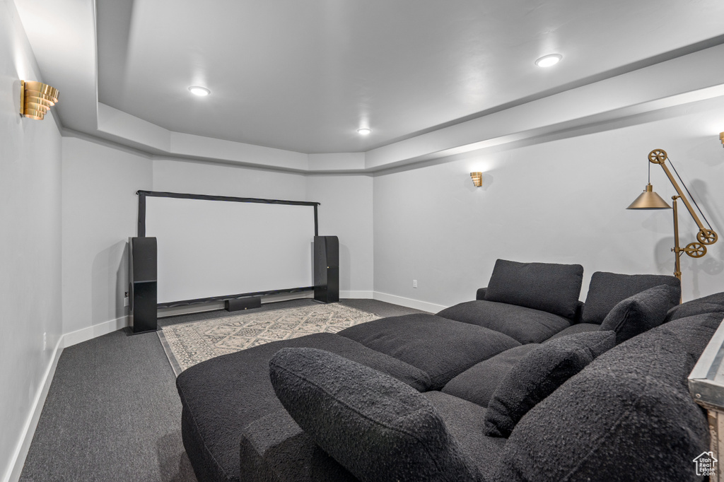 View of carpeted cinema room