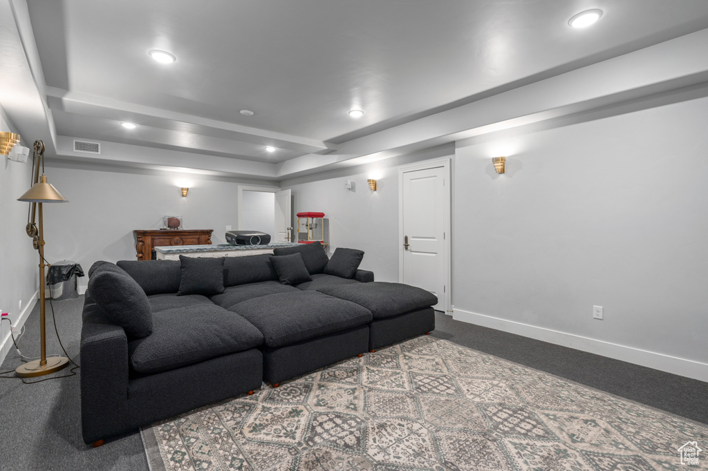 Carpeted home theater with a tray ceiling