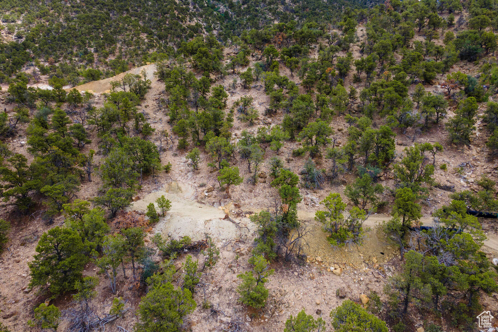 View of bird\'s eye view