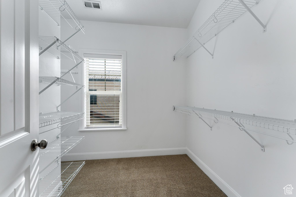 Spacious closet featuring carpet flooring