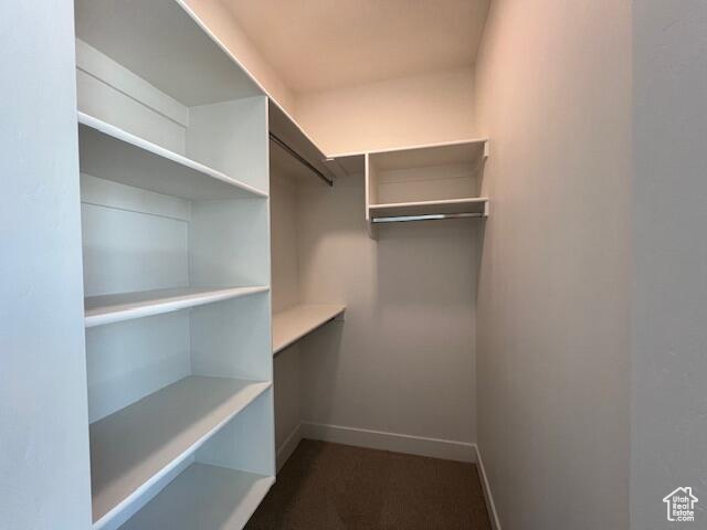 Walk in closet with dark colored carpet