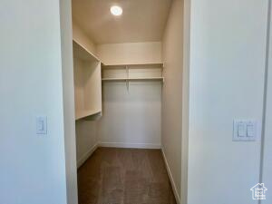 Spacious closet with carpet floors