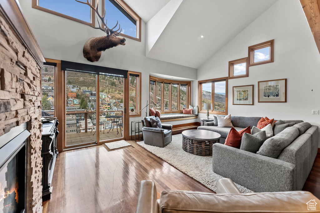 Living room featuring high vaulted ceiling, hardwood / wood-style floors, and a fireplace