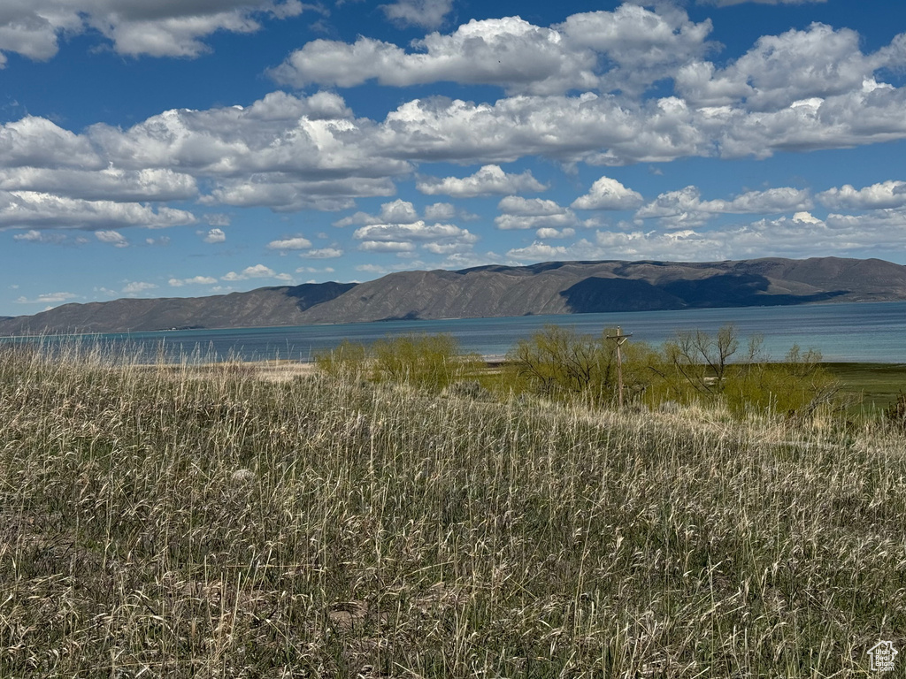 171  LAVENDER CT Fish Haven, ID 83287