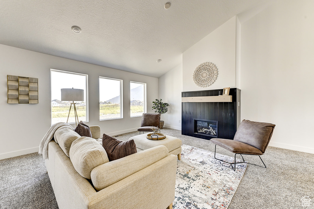 Carpeted living room with vaulted ceiling and a textured ceiling