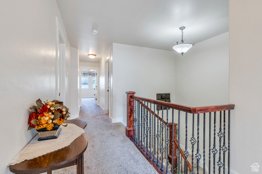 Hallway featuring carpet