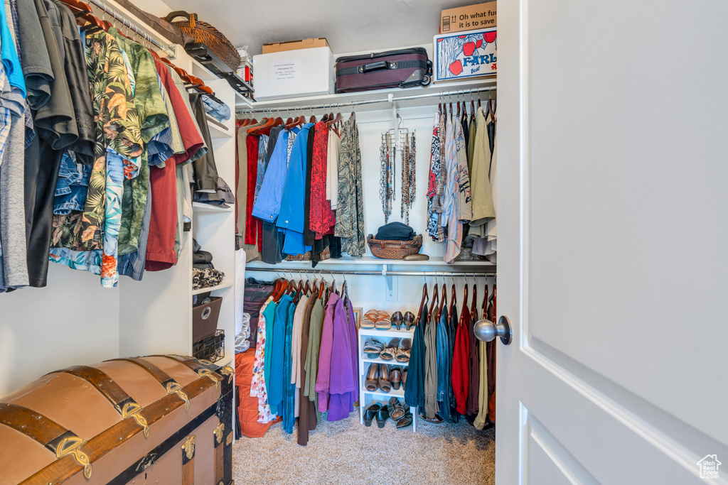 Walk in closet featuring light carpet