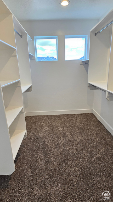 Spacious closet with carpet flooring