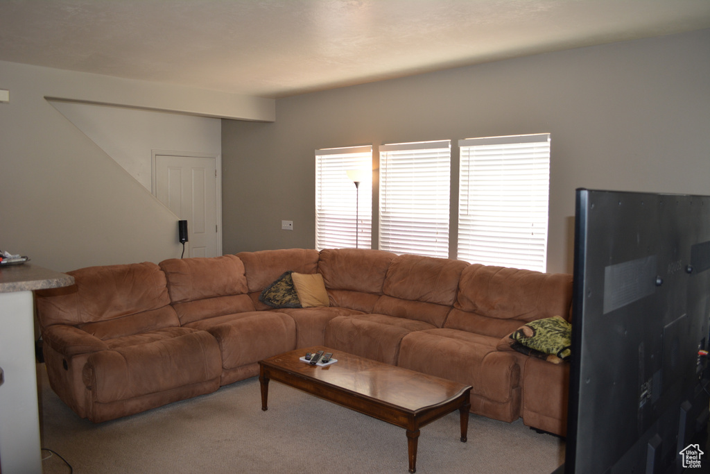 938 S 1740 E Spanish Fork, UT 84660