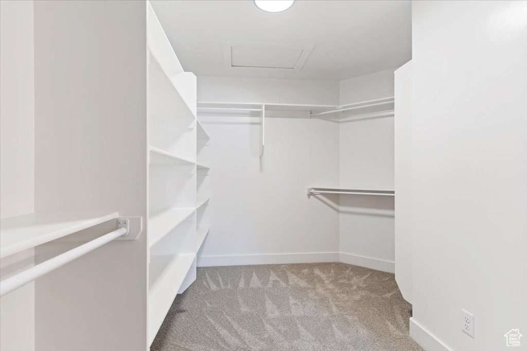 Walk in closet featuring light carpet