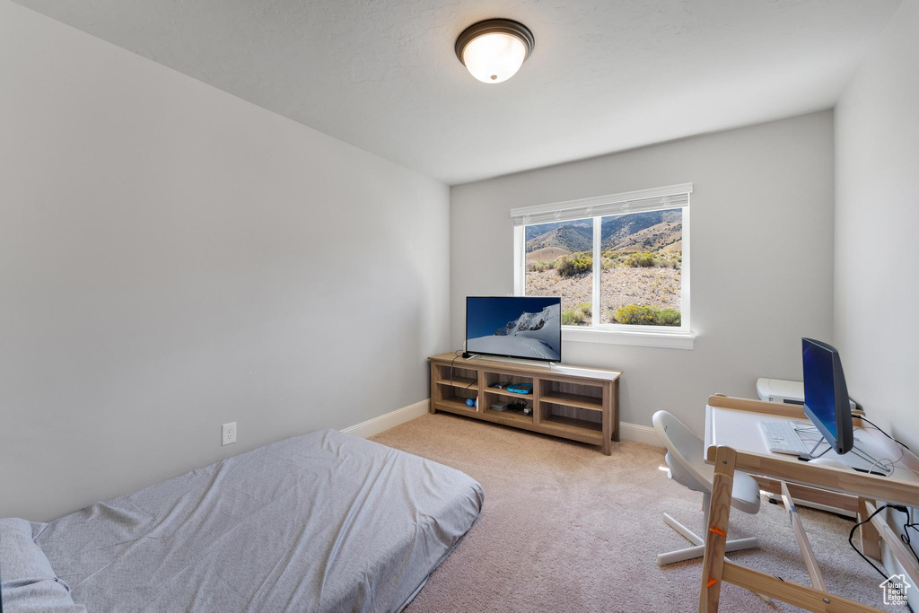 Bedroom featuring carpet flooring